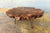TUZECH Unique Live Edge Crosscuts Epoxy Resin Coffee Table Living Room Table Console Table Study Table Hallway Table Central Table End/Side Table