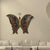 Tuzech Metal Designer Handmade Handicraft Gift Item Showpiece Wall Decor -Large Colourful Butterfly
