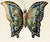Butterfly_small_9-10-11